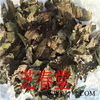 野生青钱柳 青钱柳降糖 无糖 青钱柳茶茶 产地直销图1