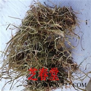 芝春堂 中药材批发 散装草药 肺筋草 肺经草 肺筋草 代磨粉图2