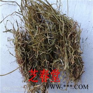 芝春堂 中药材批发 散装草药 肺筋草 肺经草 肺筋草 代磨粉图3