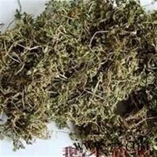 鹅不食 正品 无污染 优质 精选 优惠 促销图2