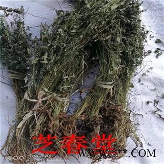 芝春堂 岩黄连 岩胡、岩连、菊花黄连、土黄连、石生黄堇图4