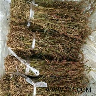 芝春堂 中草药盘龙参 扭兰 镰刀草 海珠草 龙缠柱 盘龙箭猪辽参龙抱柱 支持验货图2