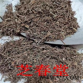 中药材 含羞草 感应草 喝呼草 怕丑草 怕羞草 无硫新货图4