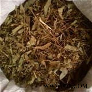 小丽百草行飞燕草 百部草 干鸟草 鸽子花大花土黄连图2