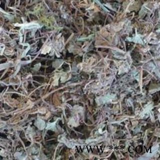 小丽百草行中药材芨芨草 枳芨草、积机草、枳机草、席箕草积药草图2