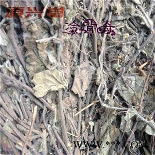 狭叶韩信草 韩信草个 产地 河北省 批发经营各种冷背中草药个子图1