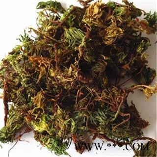 芝春堂 冷背中药材 回心草 茴心草 茴薪草铁脚一把伞 岩谷伞 大野藓 产地云南图3