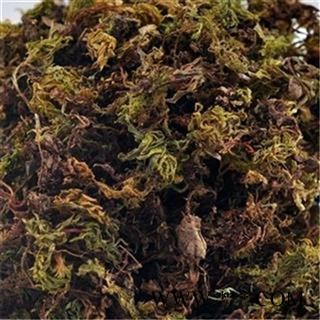 芝春堂 冷背中药材 回心草 茴心草 茴薪草铁脚一把伞 岩谷伞 大野藓 产地云南图2