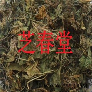 芝春堂 葡伏堇 中药材 匍匐堇 堇菜 葡伏堇 匍匐锦图4