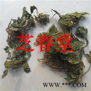 芝春堂 葡伏堇 中药材 匍匐堇 堇菜 葡伏堇 匍匐锦图2
