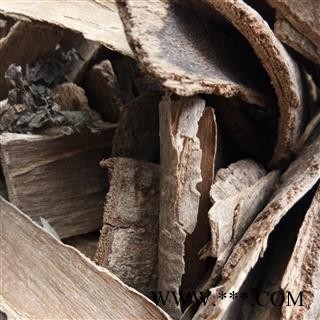 鸭脚木 统货 产地 广西壮族自治区图3