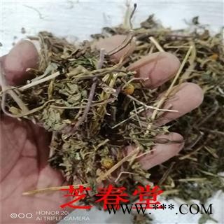 芝春堂 冷背中药材供应 天文草 金铜锤 散血草 雨伞草 黄花苦草图2