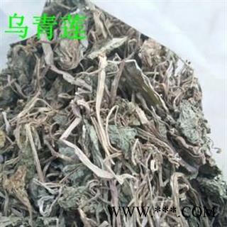 芝春堂 乌青莲 乌蜜莲 乌子莲 产地东北 支持验货图3