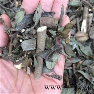 小丽百草行 饿蚂蝗 红掌草 山蚂蝗今年新货图2