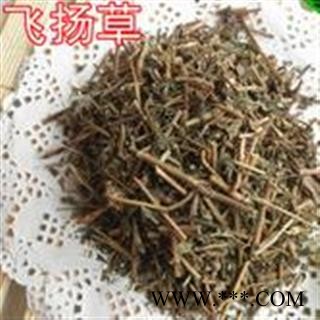 小丽百草行中药材大飞扬 飞扬草 大乳汁草 节节花图2