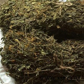 小丽百草行岩黄连 岩胡、岩连、菊花黄连、土黄连图2