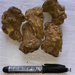 当归头个子撞粗皮 正宗无硫  产地直供 优质保证 全国包邮 活动：下单即送甘肃特产天然无公害礼品！图2