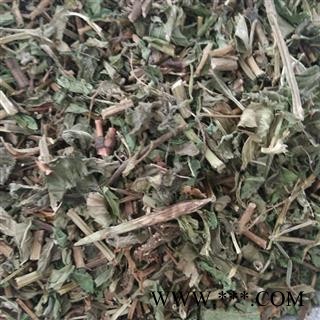 选装新货薄荷段 质量好 价格低  产地直销 产地 山东省图2