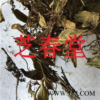 芝春堂 抱石莲 正品无硫 风不动 鱼鳖草 金丝鱼鳖 山豆爿草 抱树莲图3