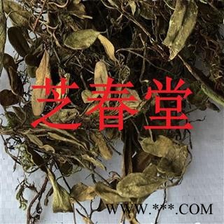 芝春堂 抱石莲 正品无硫 风不动 鱼鳖草 金丝鱼鳖 山豆爿草 抱树莲图2
