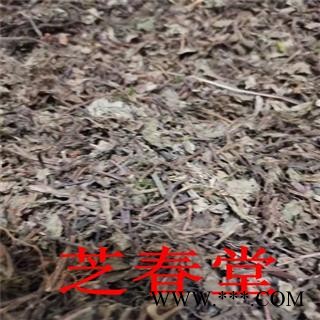 芝春堂 石莽草  头花蓼 干货石莽草 石辣蓼小红 太阳草 四季红图4