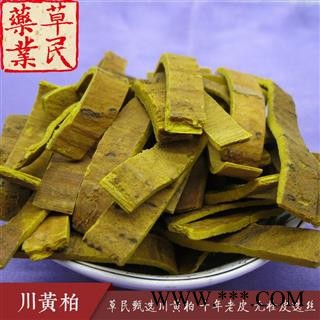 草民甄选道地川黄柏 十年老皮 无栓皮选丝 专业批发量大从优图4