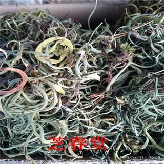 新货老挝化石草结石中草药中药材精挑缅甸茶消肿化石干货图3