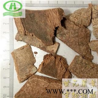 世元药业 鸭脚木皮 正品 别称- 西加皮 鸭脚皮 鹅掌柴皮图2