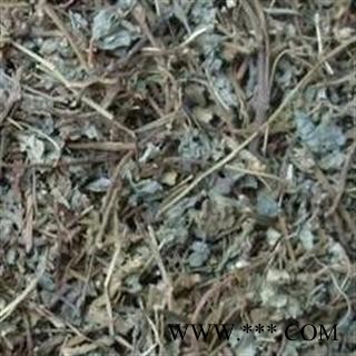 酢浆草炸酱草/酸浆草/酸酸草/斑鸠酸  产地 辽宁省图3