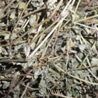 地锦草 统 地锦草  产地 广西 批发各种中药材图3