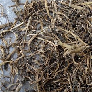 马齿苋 选 马齿苋 马齿笕 批发各种中药材 花茶 矿石 产地 黑龙江省大庆市肇州县图4