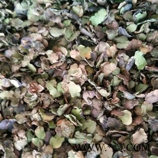 浮萍草 青浮萍统货 产地 浙江省图2