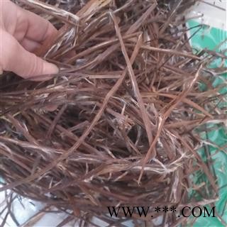 安祁名药正品梓白皮 梓实 原生态新货图2