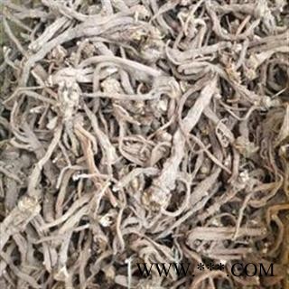 蒲公英  蒲公英根 统货 产地 河北省图2