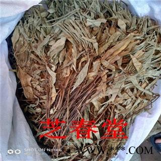 追风伞 中药材 追风伞 中草药 惊风伞 一把伞 公接骨丹 干品正品图2