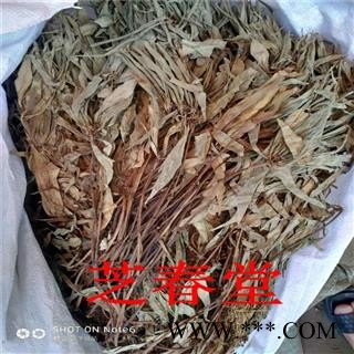 追风伞 中药材 追风伞 中草药 惊风伞 一把伞 公接骨丹 干品正品图3