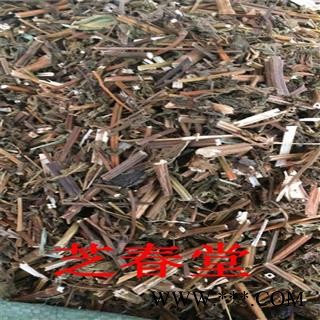 溪黄草  溪沟草 山羊面 熊草 血风草 黄汁草 溪沟草 香茶菜图4