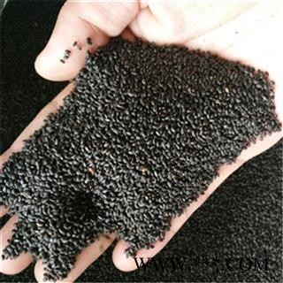 供应纯正中药材 九层塔 罗勒 金不换 医药专用还有罗勒子  明列子 罗勒籽 兰香子 光明子 支持验货图4