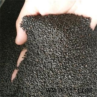 供应纯正中药材 九层塔 罗勒 金不换 医药专用还有罗勒子  明列子 罗勒籽 兰香子 光明子 支持验货图3