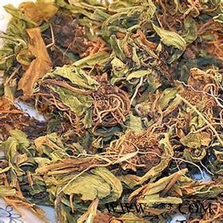 产地直销 灯盏花  批发各类冷背 奇缺 稀有 中药材图2