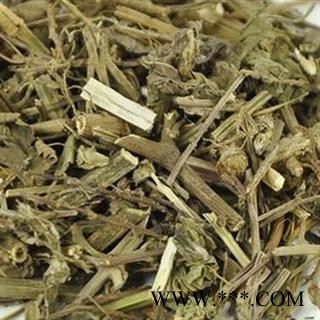 马鞭草 选货 质量好价格低 产地 江苏省图2