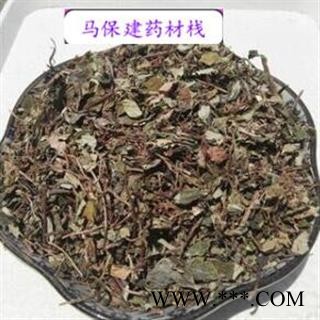 金钱草 小叶金钱草灰绿色统段 产地 四川省图2