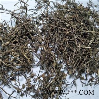 白花蛇舌草 白花蛇舌草野生统段 产地 江西省图3