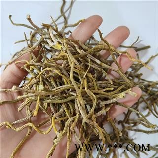 铁皮石斛 铁皮石斛条 产地 云南省图2