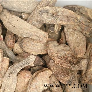 肉苁蓉 硬质 大云  个子 产地 新疆维吾尔自治区图2