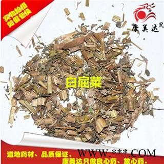 白屈菜 断肠草 白屈菜 土黄连 牛金花 八步紧 大茶药 大炮夜 野蔓统货图3
