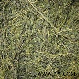 吉康药业  绞股蓝 绿色  统 产地 四川省成都市市辖区图2