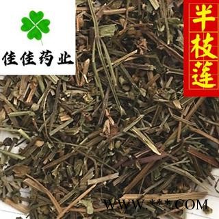 半枝莲 好统货新货 颜色好 产地 河南省 味道好新货图3