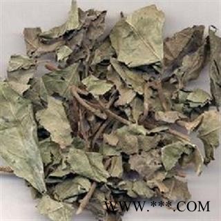 矮地茶 不出林 平地木 统 产地 湖北省图2