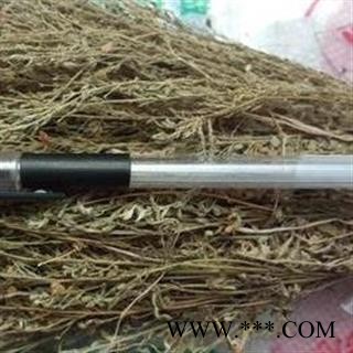 小丽百草行中药材 独脚金 独角柑 疳积草 黄花草图2